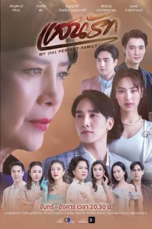 Моя идеальная семья