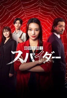 Адвокат-паук по бракоразводным процессам